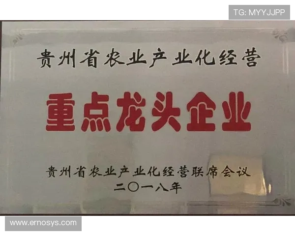 九游j9集团企业发展历程与未来战略规划深度解读引领行业新趋势